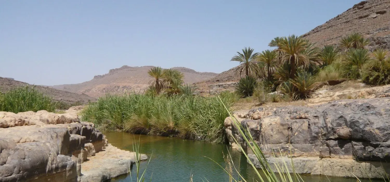 Sahara près de l'oasis de Djanet, Algérie
