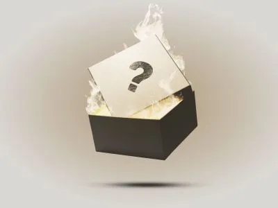 Pourquoi mon article / ma rubrique n'apparaît pas sur le site ?