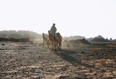 Guide touareg en randonnée chamelière