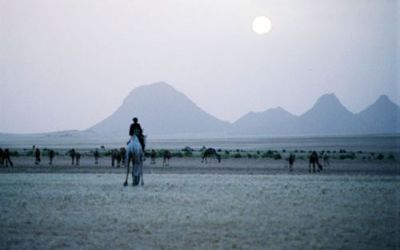 Paysage dans le sahara algérien près de Djanet