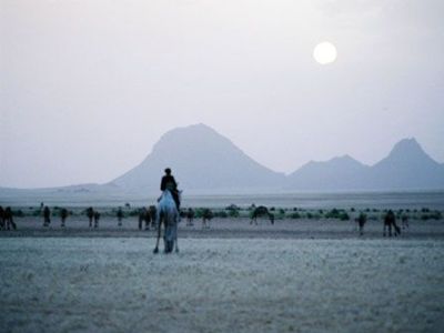Paysage dans le sahara algérien près de Djanet